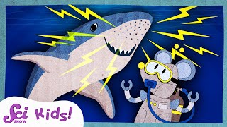 How Sharks Find Food With Electricity  Amazing Animal Senses  SciShow Kids [upl. by Keary]