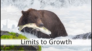 Limits to Growth [upl. by Leopoldeen579]