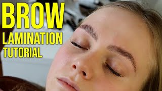 HD Brow Lamination Step By Step Tutorial Big Brows [upl. by Niarb]