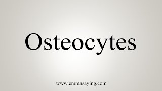 How To Say Osteocytes [upl. by Haukom]