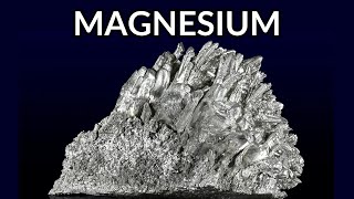 Why You Need EASE Cartoon — MAGNESIUM [upl. by Opportuna408]