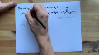 Butanoic Acid  Ethanol  Ester Reaction with Mechanism [upl. by Witha827]