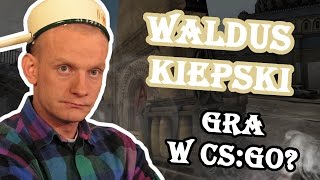 Walduś Kiepski gra w CSGO Troll w CSie 9 [upl. by Atiuqaj]