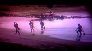 Mermaids a body found clip Amazing and incredible [upl. by Ellenor114]