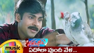 Thammudu Telugu Movie Songs  Edola Vundi Music Video  Pawan Kalyan  Preeti  Mango Music [upl. by Raphaela]