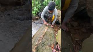 Really Hard To Crack It 🤯 crystals gems gold rockhounding satisfying [upl. by Nove]