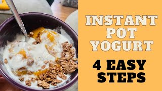 Homemade Instant Pot Yogurt Easy and Delicious Recipe  4 Easy Steps [upl. by Audrye508]