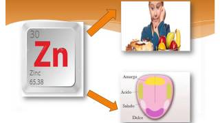 IMPORTANCIA DEL ZINC EN NIÑOS Y ADULTOS [upl. by Ainaled]