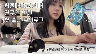 서울대 의대 연구실 인턴 1일차 vlog  뇌과학자가 될거야 [upl. by Savanna112]