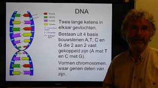 Biologie HV OB Genotype en fenotype [upl. by Kipton]