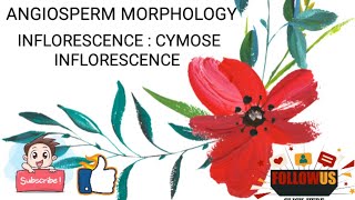 ANGIOSPERM MORPHOLOGY INFLORESCENCE CYMOSEBOTANY CALICUT UNIVERSITY bscbotany [upl. by Derrik]