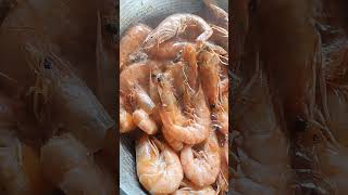 buttered shrimp 🍤 highlights [upl. by Barbie]