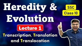 Heredity and Evolution  Lecture 1  Transcription Translation and Translocation  MH State Board [upl. by Oyam326]