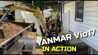 Yanmar Vio17 Mini Excavator In Action [upl. by Shyamal]