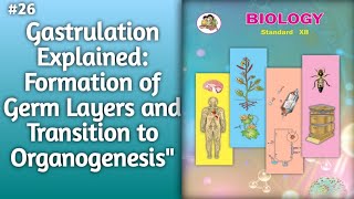 Gastrulation Explained Formation of Germ Layers and Transition to Organogenesis l gastrulation [upl. by Chanda]