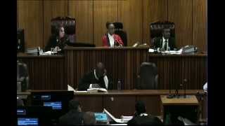 Oscar Pistorius Trial Thursday 3 July 2014 Session 1 [upl. by Rehprotsirhc]