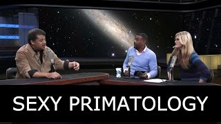 Sexy Primatology with Neil deGrasse Tyson Natalia Reagan and Chuck Nice [upl. by Nyral]