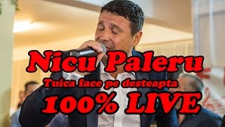 Nicu Paleru  Tuica face pe desteapta 100 LIVE ROBIS [upl. by Goodkin]