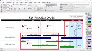 Milestones Professional  Tips and Tricks 1 [upl. by Resor]