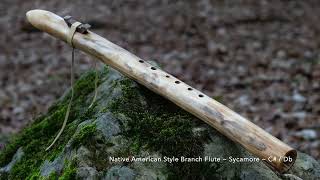 Native American Style Branch Flute  sycamore in C [upl. by Haleehs]