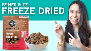 BEST FreezeDried Dog Food Tips [upl. by Yetnom]