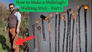 How to Make a ShillelaghWalking Stick Part 1 Finding Cutting and Seasoning [upl. by Yolanda]