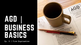 Business Basics  Firm Organization [upl. by Elyl]