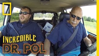 Driving With Dr Pol Passing the Time  The Incredible Dr Pol [upl. by Azeret]