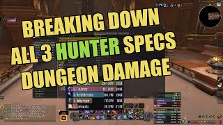 War Within Beta  Which Hunter Spec Does the Most Damage [upl. by Burne]