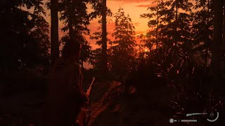 Alan Wake 2  PS5 Gameplay 4K HDR [upl. by Rairb886]