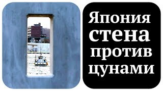 Япония строит бетонную стену в 2000 км и 60 млрд долларов [upl. by Jillian]