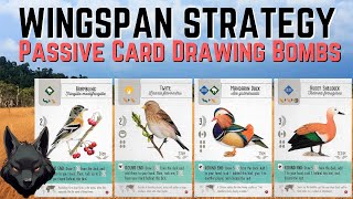 Wingspan Asia Strategy  Passive Card Drawing Bombs [upl. by Ahsitram443]