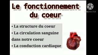 Le fonctionnement du coeur 🔴 أجي تفهم [upl. by Okihcas602]