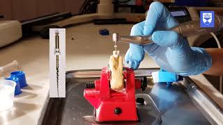 Endodontic treatment of the single rooted tooth Part 4 Shaping and finishing [upl. by Reinnej]