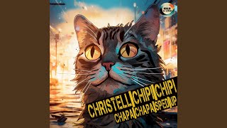 Chipi Chipi Chapa Chapa Sped Up Version [upl. by Aryk]