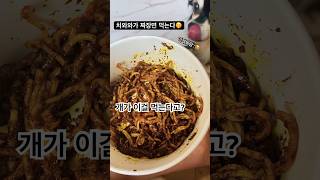 주딩이가 매우 까다로운 탄이에게 짜장면을 먹여봤다 과연 탄이의 운명은🫢개먹방신드롬 [upl. by Ellivnarg824]