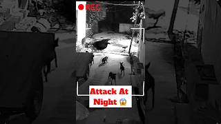 Attack At Night 😱  Rabies Infection ​minivlog [upl. by Messing]