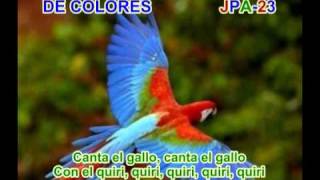 DE COLORES  SPANISH TRADITIONAL SONG [upl. by Mccreary213]