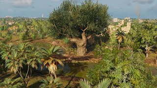 Royal Flora  Assassins Creed Origins  Papyri Puzzle [upl. by Lasko]