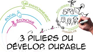 Les 3 piliers du développement durable regard scientifique [upl. by Dewar]