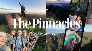 NEW ZEALAND  HIKE THE PINNACLES WITH ME  VLOG 3 [upl. by Ahsenat]