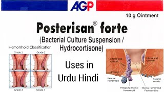 Posterisan Forte cream Uses in Urdu Hindi [upl. by Anoek64]