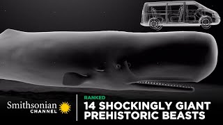 14 Shockingly Giant Prehistoric Beasts 🐋 Smithsonian Channel [upl. by Ariamoy]