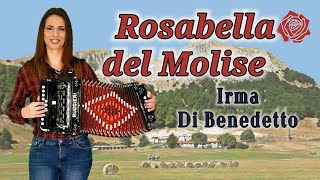 ROSABELLA DEL MOLISE la molisana IRMA DI BENEDETTO  Organetto Abruzzese Accordion [upl. by Namwen]