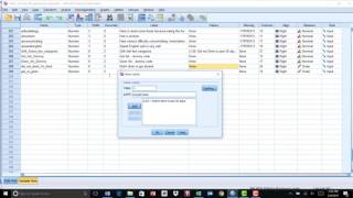 Contrast coding in linear regression in SPSS [upl. by Tengdin]