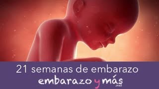 Primeros síntomas de embarazo🤰 [upl. by Mixie428]