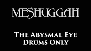 Meshuggah The Abysmal Eye DRUMS ONLY [upl. by Fezoj702]