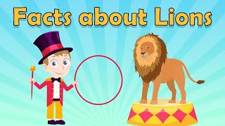 Facts about Lions for Kids  Lion Facts for Kids  Fun Facts about Lions  Lion Facts  Animal Facts [upl. by Ollopa508]