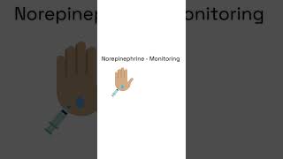 Norepinephrine  Pharmacology Lesson  short SimplePharm 🧪 pharmacology nursingschool [upl. by Hillery]