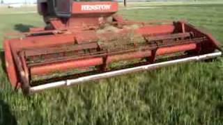 Hesston Mower Conditioner Swather [upl. by Anitsrihc]